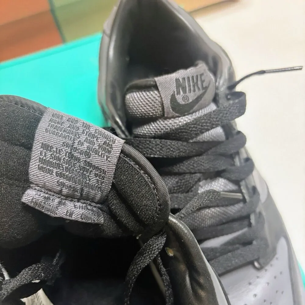 2002 NIKE Dunk Low Pro Black Gray Graphite Size 9.5 304714  display picture 2